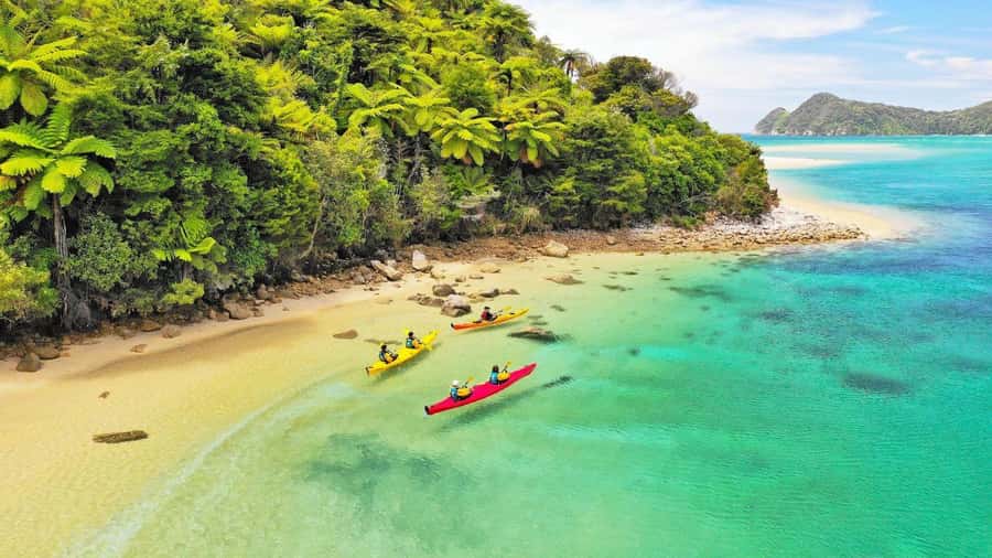 Abel Tasman National Park: Cruise, Kayak, & Hike Tour - Key points to know before you book