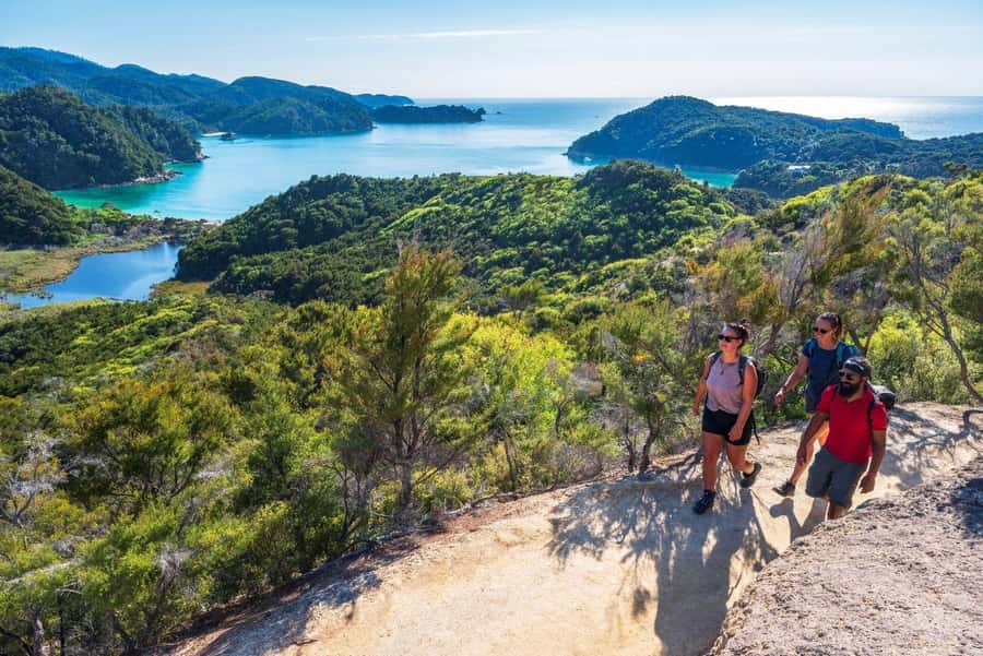 Abel Tasman National Park: Cruise, Kayak, & Hike Tour - The coastal walk to Anchorage
