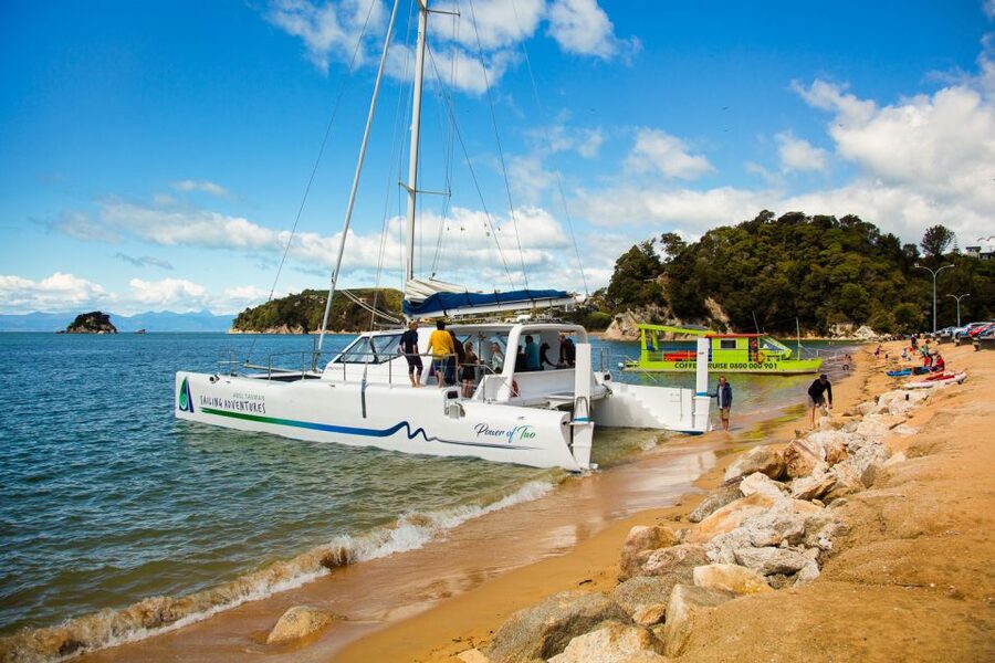 Abel Tasman National Park: Cruise, Walk & Sailing Tour - Fur seals and coastal wildlife
