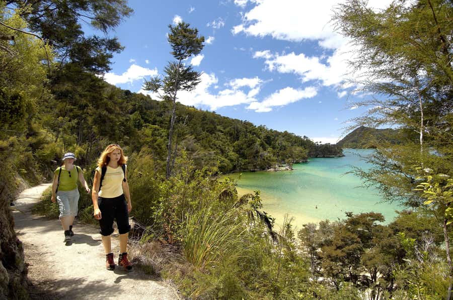 Abel Tasman National Park: Cruise, Walk & Sailing Tour - Who should book this Abel Tasman day trip?