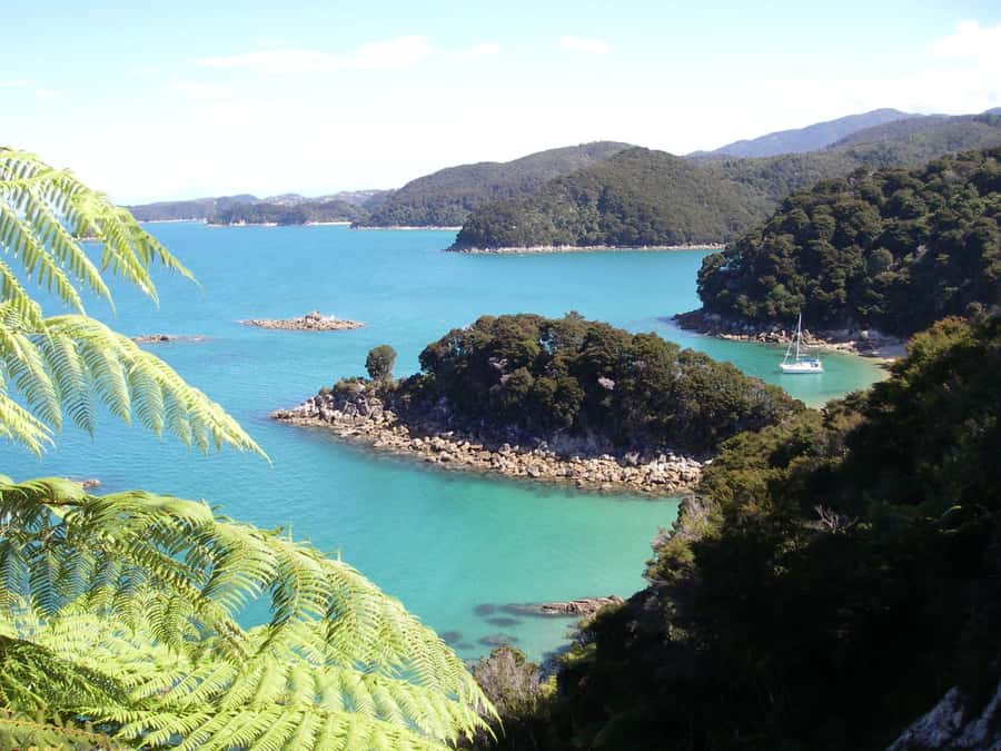Abel Tasman National Park: Sailing and Self-Guided Walk - Marahau pickup and the morning transfer
