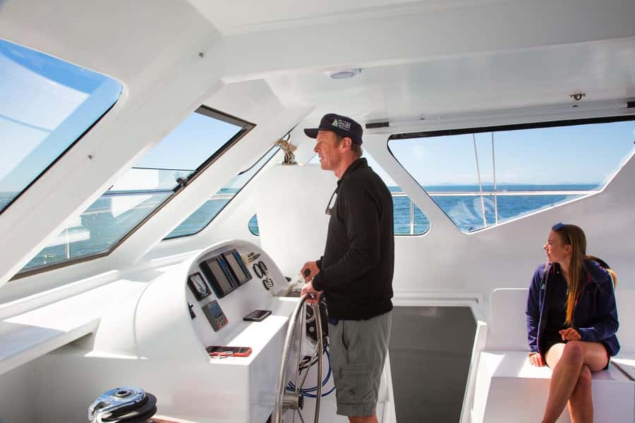 Abel Tasman National Park: Self-Guided Walk & Sailing - Walking through forest and along golden beaches