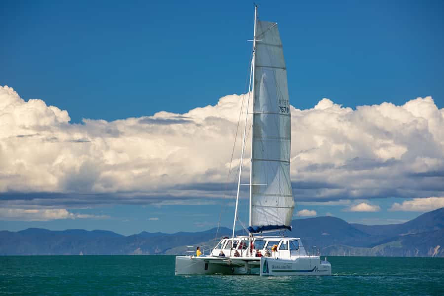Abel Tasman National Park: Self-Guided Walk & Sailing - What the $88 price includes