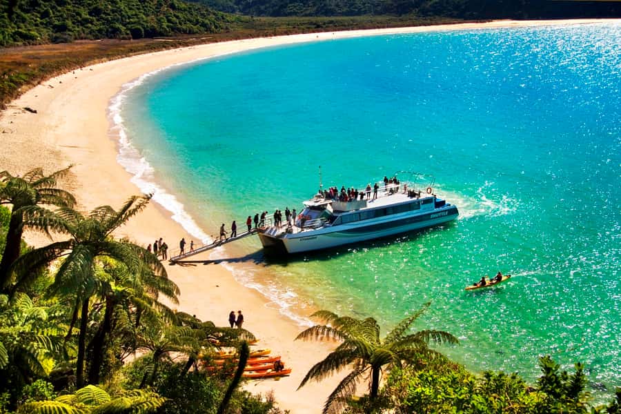 Abel Tasman: Sea Shuttle Cruise and Walking Tour Combo - Cruising past Split Apple Rock and Adele Island