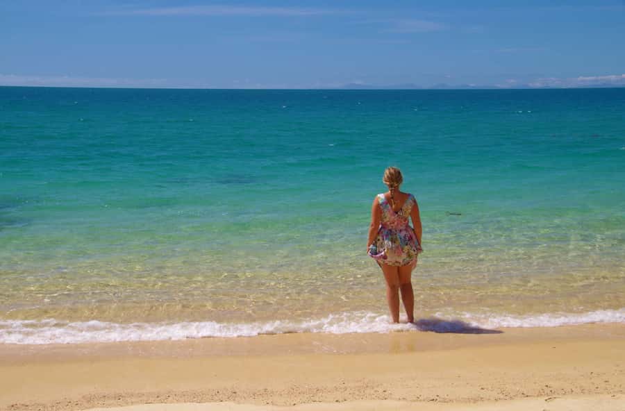 Abel Tasman: Sea Shuttle Cruise and Walking Tour Combo - Option A: Apple Tree Bay to Anchorage