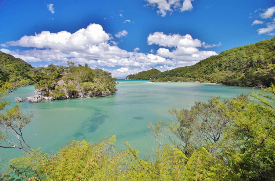 Abel Tasman: Sea Shuttle Cruise and Walking Tour Combo - Option C: Five beaches from Awaroa to Medlands