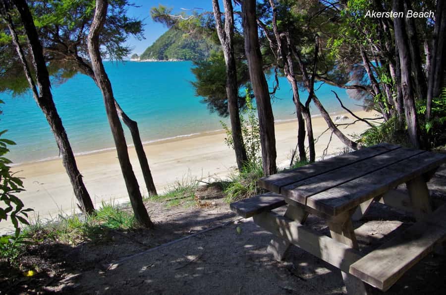 Abel Tasman: Sea Shuttle Cruise and Walking Tour Combo - Timing, tides, and the return boat