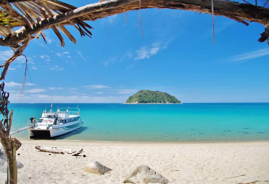 Abel Tasman: Sea Shuttle Cruise and Walking Tour Combo - Who will enjoy this most
