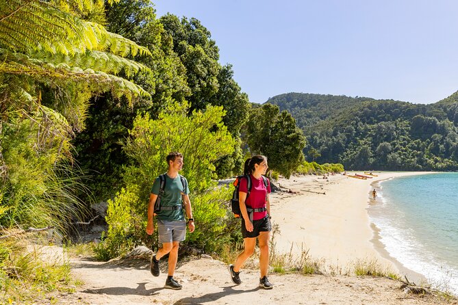 Abel Tasman Vista Cruise - What the boat ride feels like