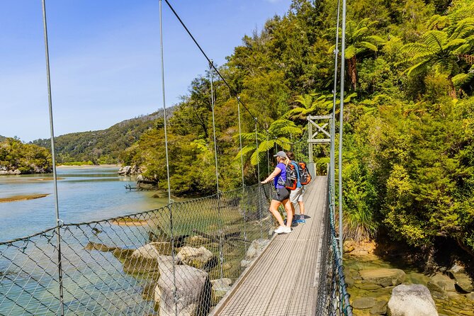 Abel Tasman Vista Cruise - Weather, timing, and group size