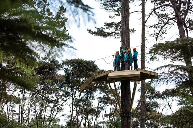 Adventurous Zipline Tour in Coromandel - A railway ride before the ziplines