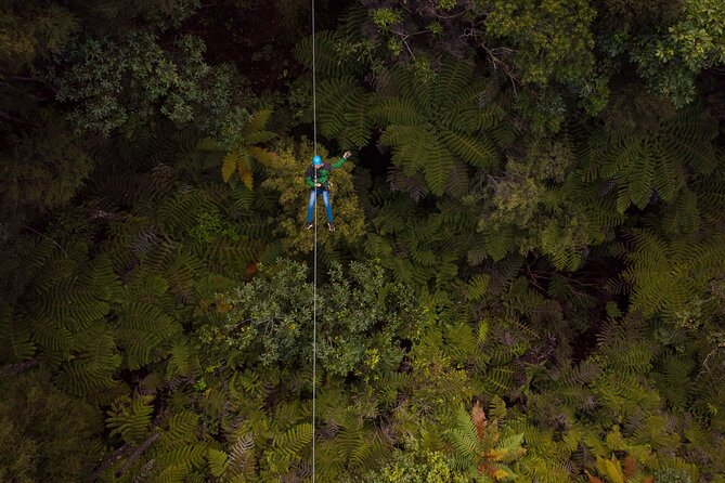 Adventurous Zipline Tour in Coromandel - Support from guides matters here