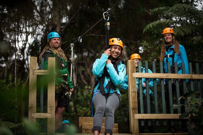 Adventurous Zipline Tour in Coromandel - Why the small group changes the pace