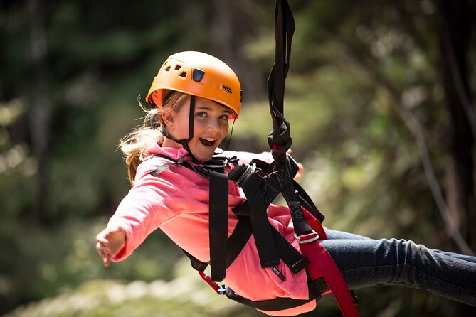 Adventurous Zipline Tour in Coromandel - Weather, clothing, and practical comfort