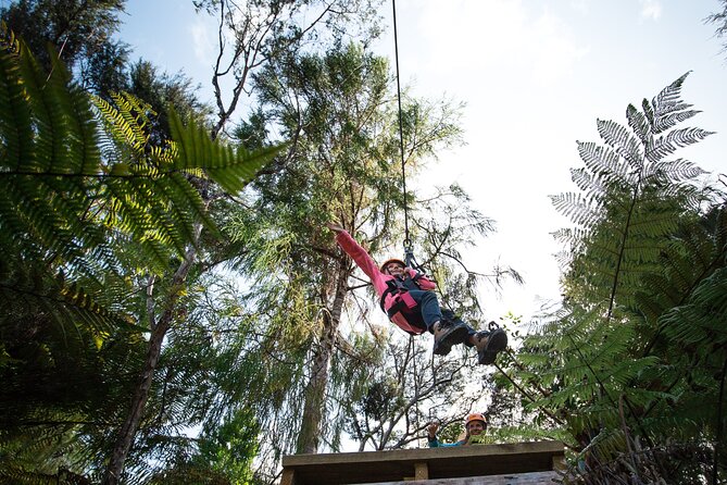 Adventurous Zipline Tour in Coromandel - Is $91.22 a fair price?