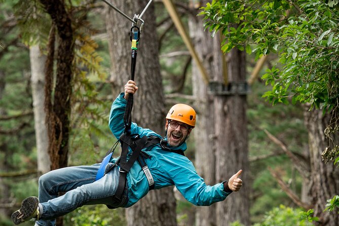 Adventurous Zipline Tour in Coromandel - Who should book this Coromandel outing?