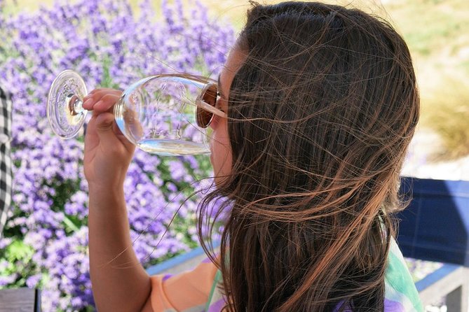 Afternoon Boutique Wine Tour - Scenery, transfers, and the practical rhythm