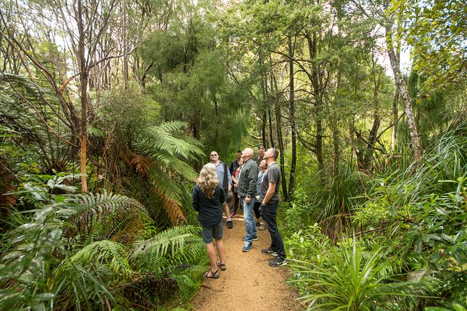 Afternoon Piha Beach and Rainforest Tour from Auckland - Timing, weather, and what to bring