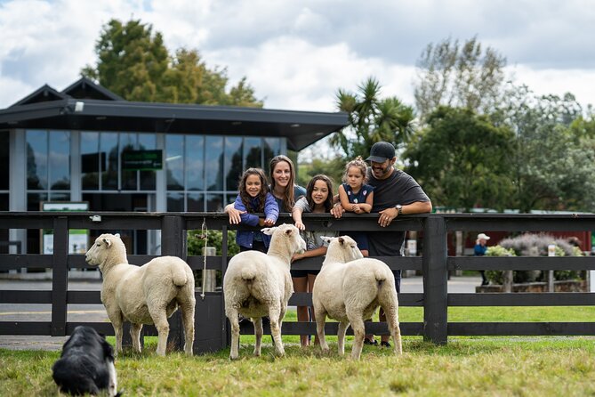 Agrodome Farm Experience including Farm Show and Farm Tour - Rotorua - The tractor tour brings you into the paddocks