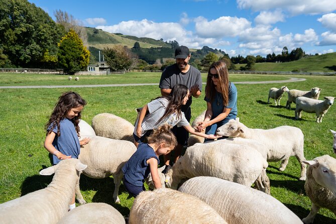 Agrodome Farm Experience including Farm Show and Farm Tour - Rotorua - The farmyard nursery adds a gentler stop
