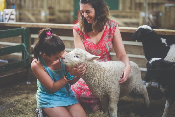 Agrodome Farm Experience including Farm Show and Farm Tour - Rotorua - What the staff add to the experience