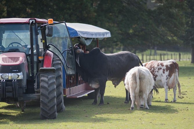 Agrodome Farm Experience including Farm Show and Farm Tour - Rotorua - Is the $40.34 price good value?