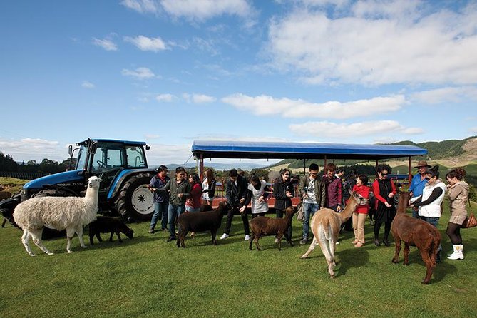 Agrodome Farm Experience including Farm Show and Farm Tour - Rotorua - Timing, transport, and practical details