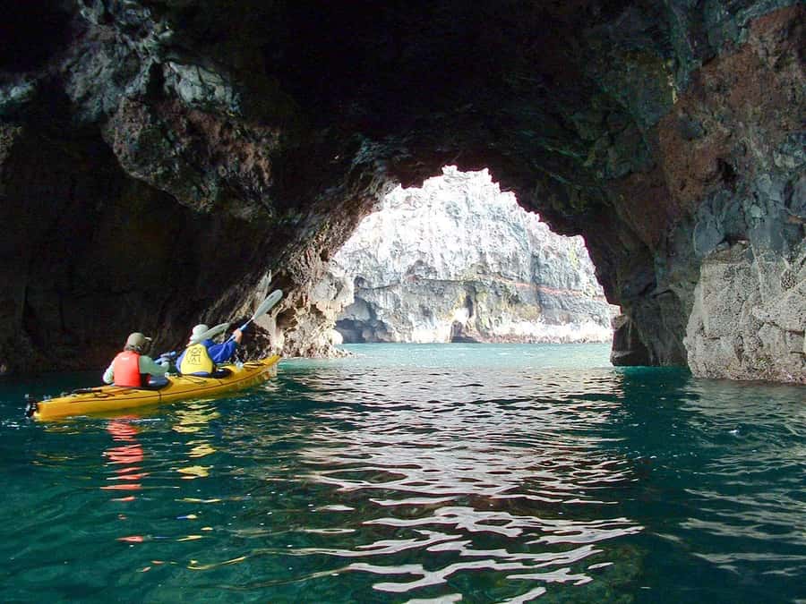 Akaroa: 4WD Safari and Guided Sea-Kayaking Experience - Practical value at $80