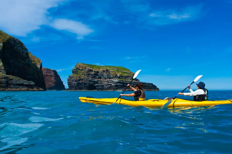 Akaroa: 4WD Safari and Guided Sea-Kayaking Experience - Penguins, seals, dolphins, and seabirds