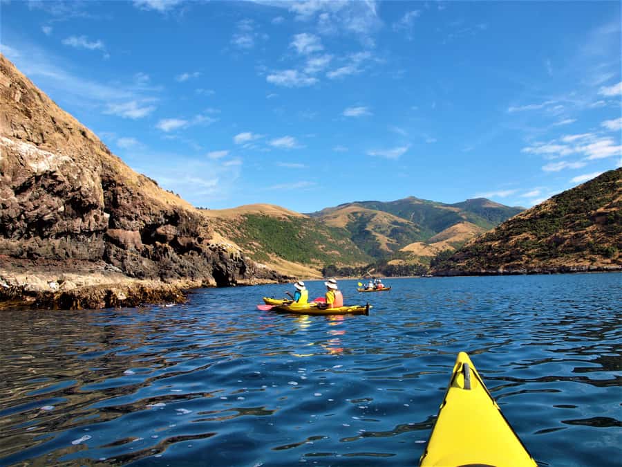 Akaroa: 4WD Safari and Guided Sea-Kayaking Experience - What happens when the weather turns