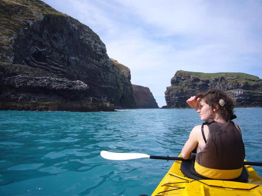 Akaroa: 4WD Safari and Guided Sea-Kayaking Experience - Morning or afternoon: choosing your departure