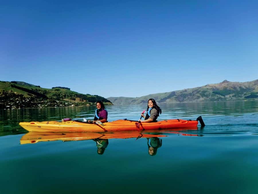 Akaroa: Akaroa Marine Reserve Sea Kayaking Tour - Why Akaroa Harbour works so well by kayak