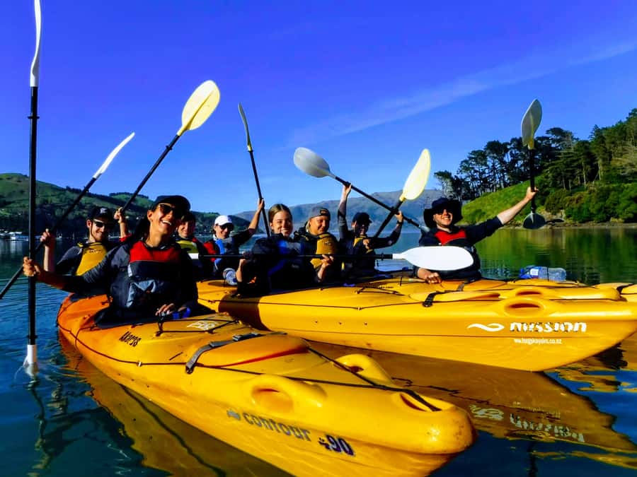 Akaroa: Akaroa Marine Reserve Sea Kayaking Tour - Caves, bays, and the return paddle