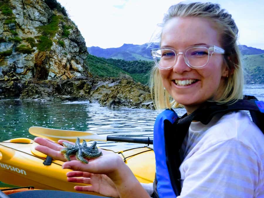 Akaroa: Akaroa Marine Reserve Sea Kayaking Tour - Who will enjoy this tour most