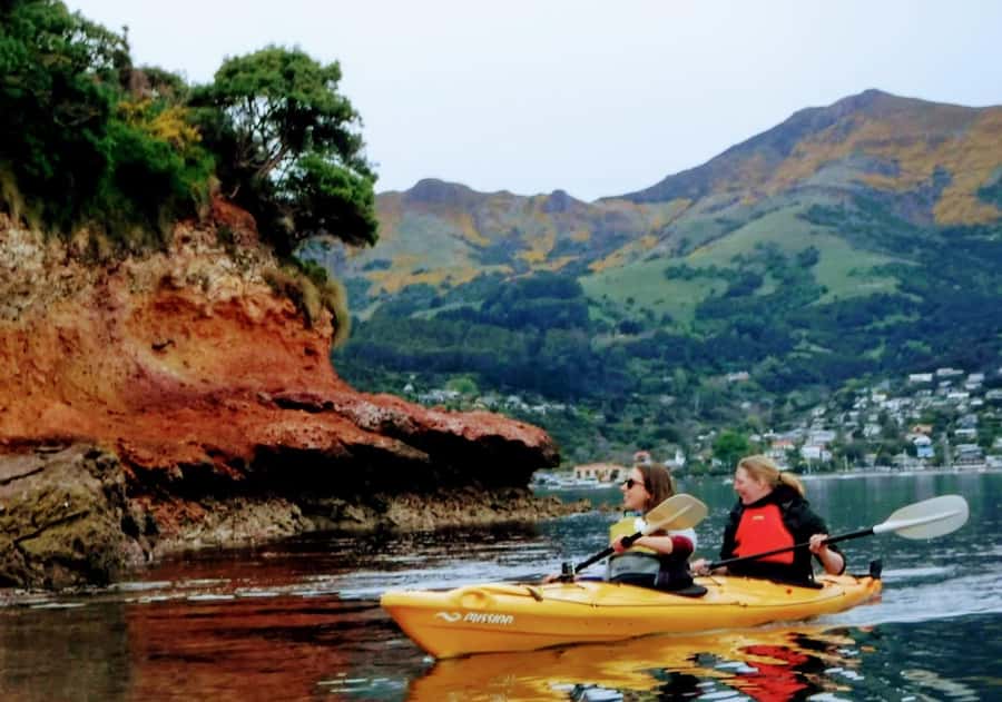 Akaroa: Akaroa Marine Reserve Sea Kayaking Tour - What to bring for a comfortable outing