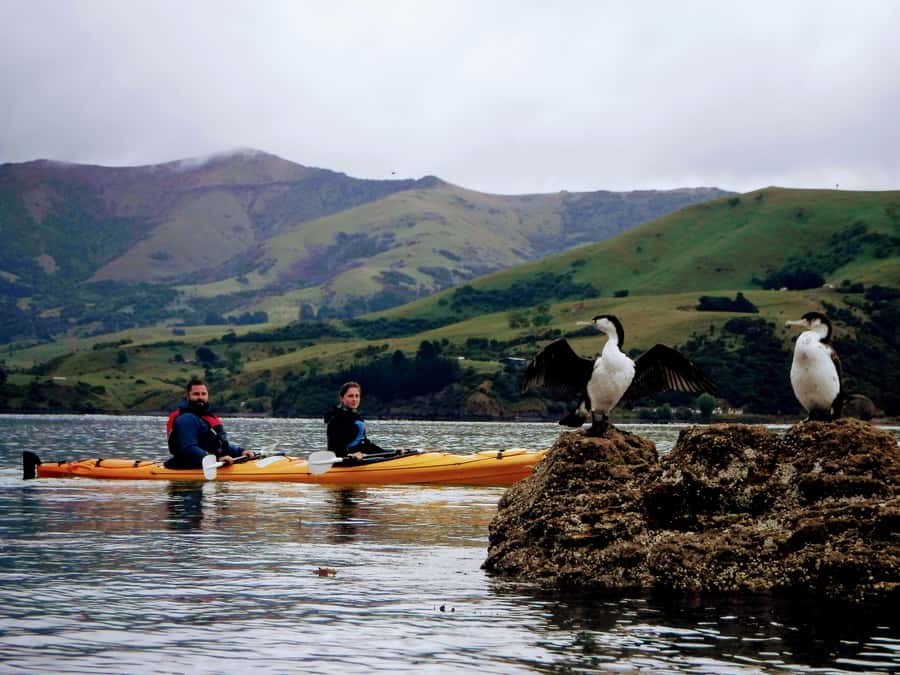 Akaroa: Akaroa Marine Reserve Sea Kayaking Tour - Meeting the guide and getting on the water
