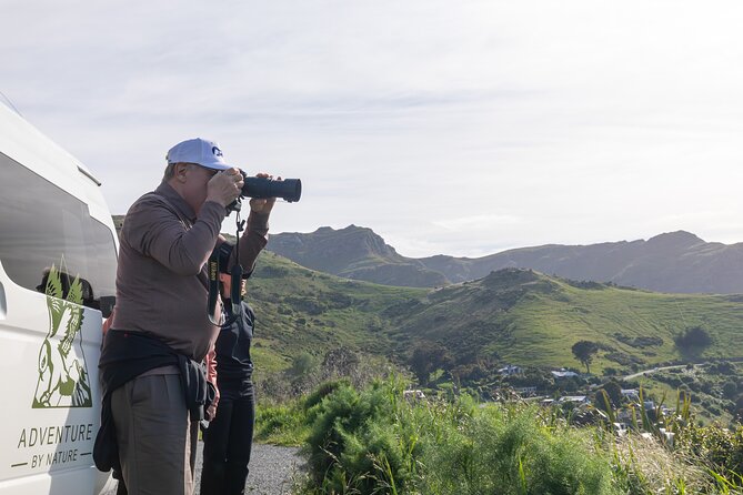 Akaroa & Banks Peninsula from Lyttelton(Private Shore Excursion) - Why Akaroa makes the long port day worthwhile
