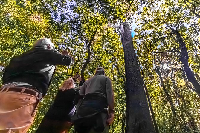 Akaroa & Banks Peninsula from Lyttelton(Private Shore Excursion) - Is $496.15 per person good value?