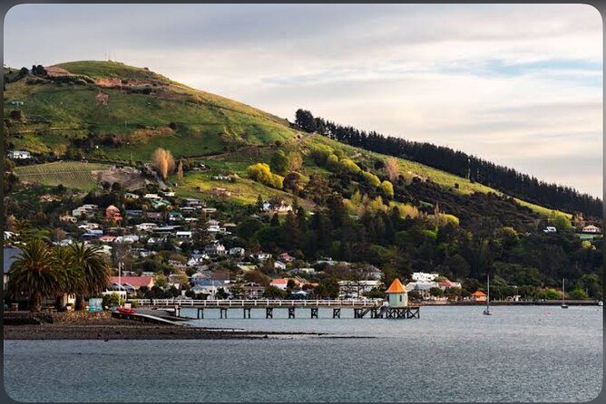 Akaroa Day Tour From Christchurch - Lyttelton Harbour and the first volcanic views