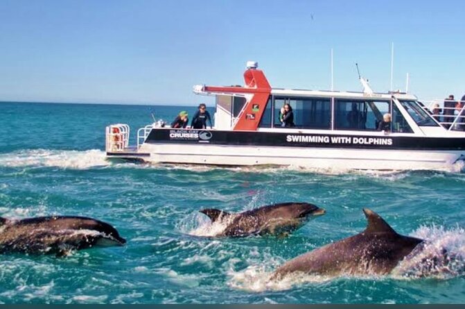 Akaroa Day Tour From Christchurch - How the price works out at $161.35