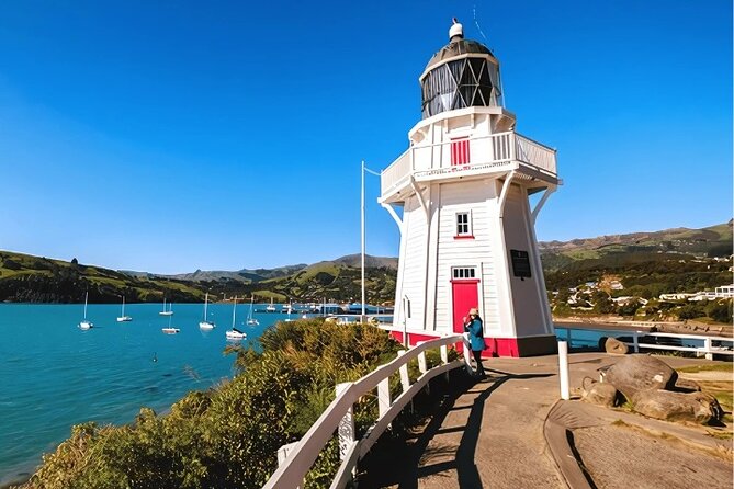 Akaroa Day Tour from Christchurch Return - The optional wildlife cruise