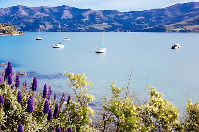 Akaroa Day Tour from Christchurch Return - The road through Banks Peninsula