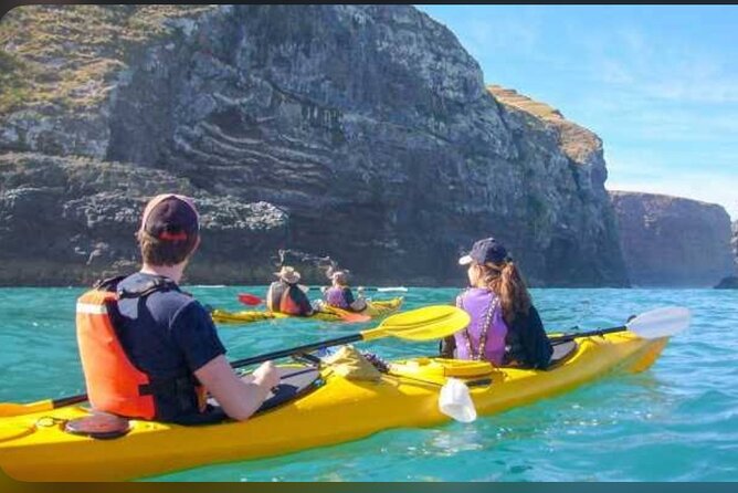 Akaroa Day Tour From Christchurch - Governor’s Bay and the climb across Banks Peninsula