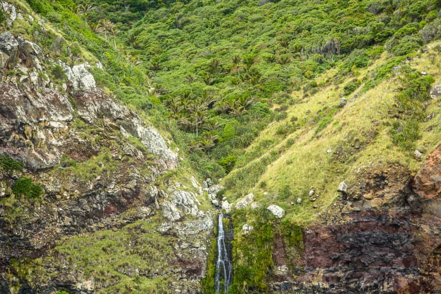Akaroa: Dolphin Nature Cruise - Commentary about a harbour shaped by people and volcanoes