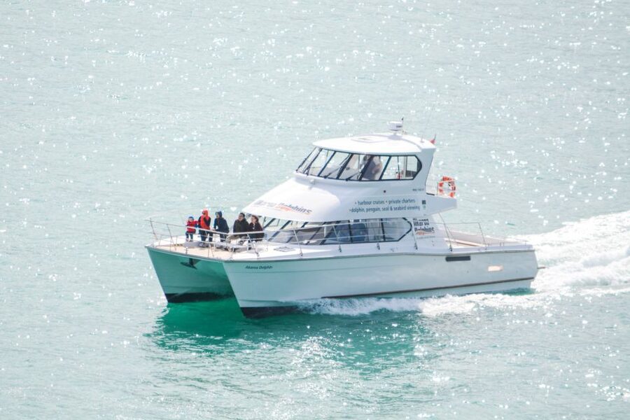 Akaroa: Dolphin Nature Cruise - Is $77 good value?
