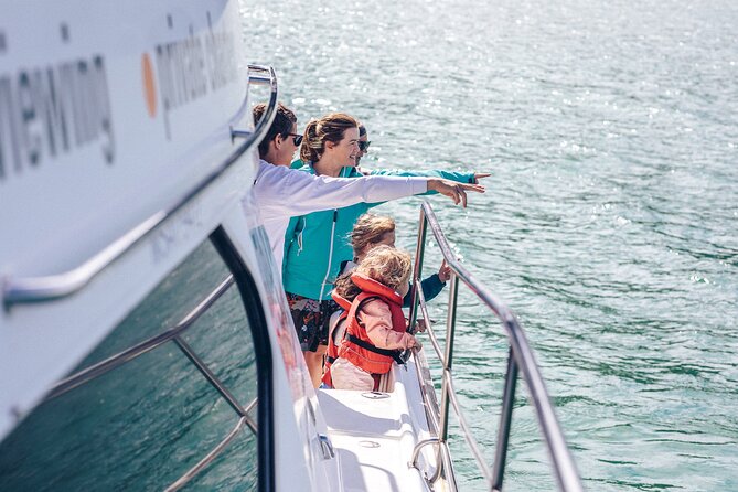 Akaroa Dolphins ~ Harbour Nature Cruise - Akaroa Harbour is the real star