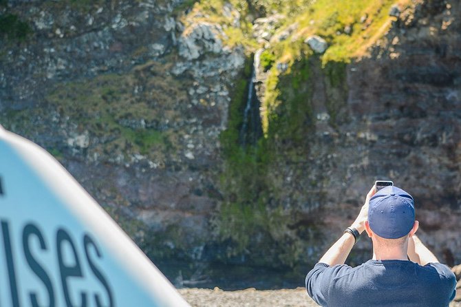 Akaroa Dolphins ~ Harbour Nature Cruise - Price, comfort, and the small-group value
