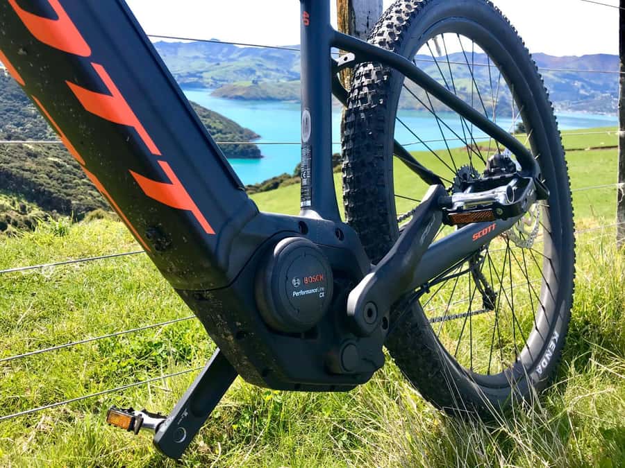 Akaroa: Electric Mountain Bike and Sea Kayak Adventure - Cold water, real effort, and sensible clothing