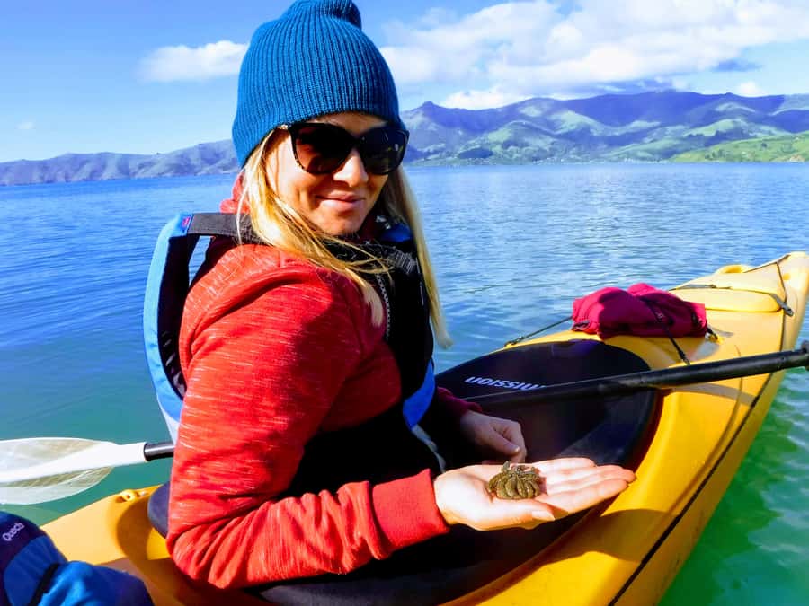 Akaroa: Electric Mountain Bike and Sea Kayak Adventure - Is $164 a fair price?
