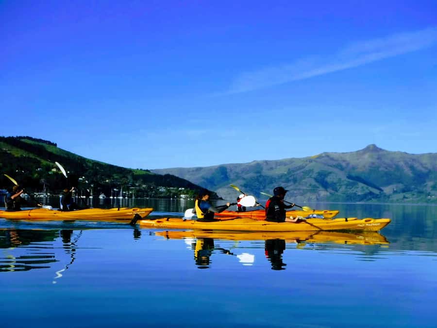 Akaroa: Electric Mountain Bike and Sea Kayak Adventure - Climbing above the harbour by electric mountain bike